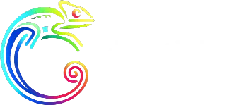 Cybertivity Logo